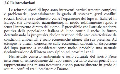 Provocazione (?) sul lupo